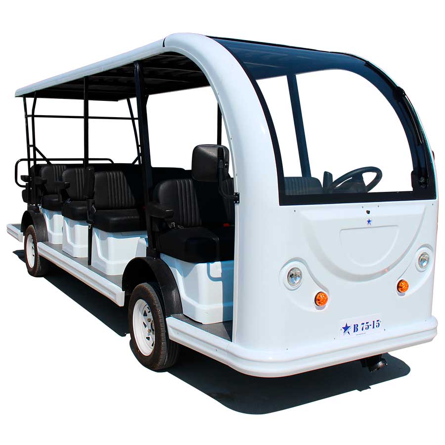 Electric Travel Vehicles